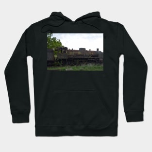 A view of North Weald railway station Hoodie